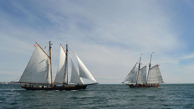 Pacific Swift and Pacific Grace